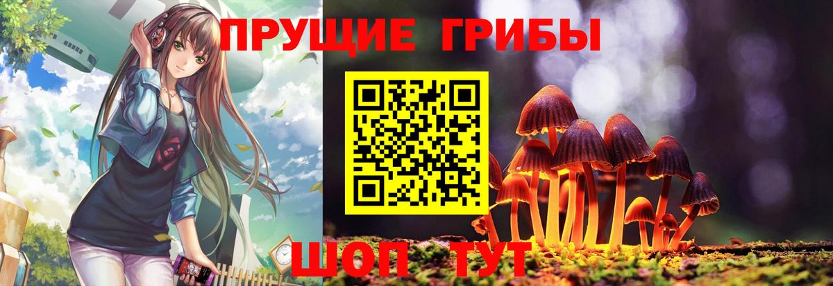 Псилоцибиновые грибы GOLDEN TEACHER  Галлюциногенные грибы Magic Shrooms  Калач-на-Дону  Вход с VPN 
